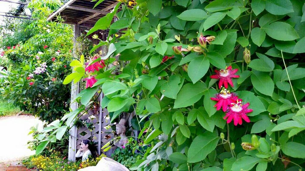 Lampang Lanna Home Dış mekan fotoğraf